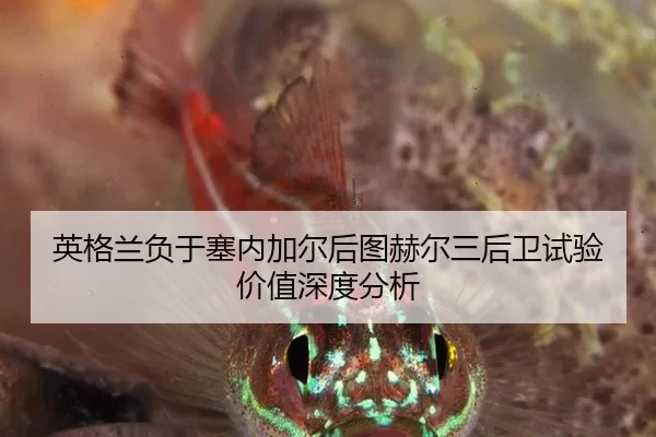 ying-ge-lan-fu-yu-sai-nei-jia-er-hou-tu-he-er-san-hou-wei-shi-yan-jia-zhi-shen-du-fen-xi-2-320.jpg